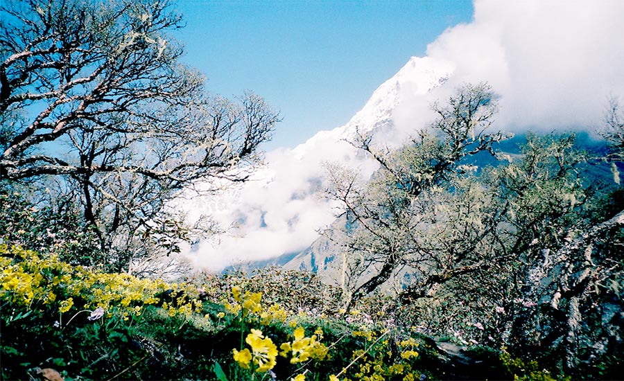 view from below ganjala